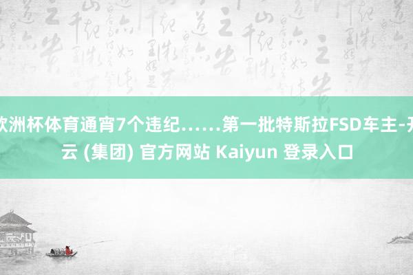欧洲杯体育通宵7个违纪……第一批特斯拉FSD车主-开云 (集团) 官方网站 Kaiyun 登录入口