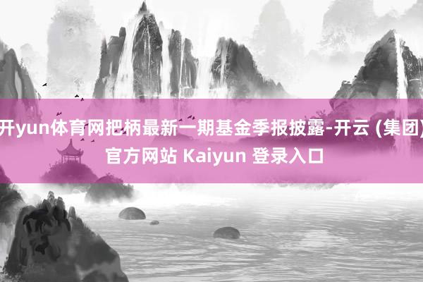 开yun体育网把柄最新一期基金季报披露-开云 (集团) 官方网站 Kaiyun 登录入口