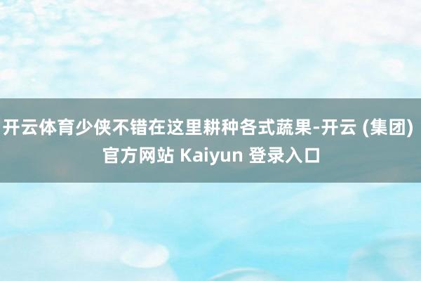 开云体育少侠不错在这里耕种各式蔬果-开云 (集团) 官方网站 Kaiyun 登录入口