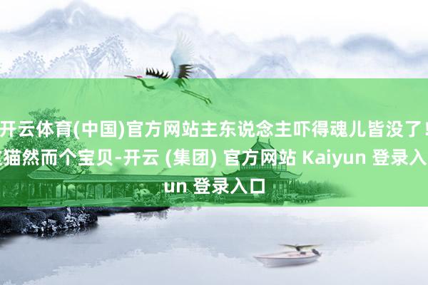 开云体育(中国)官方网站主东说念主吓得魂儿皆没了！这猫然而个宝贝-开云 (集团) 官方网站 Kaiyun 登录入口