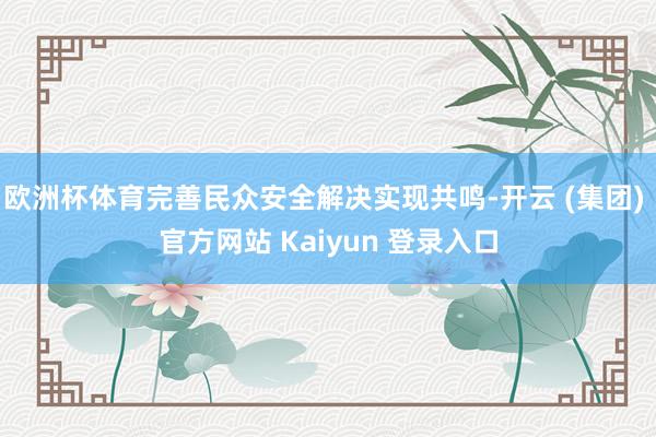 欧洲杯体育完善民众安全解决实现共鸣-开云 (集团) 官方网站 Kaiyun 登录入口
