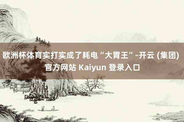 欧洲杯体育实打实成了耗电“大胃王”-开云 (集团) 官方网站 Kaiyun 登录入口