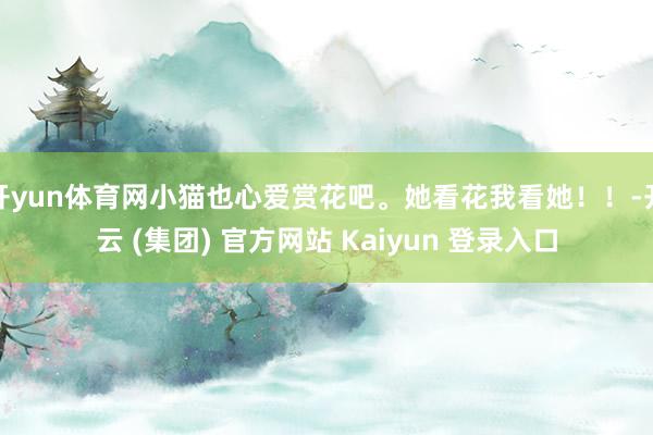 开yun体育网小猫也心爱赏花吧。她看花我看她！！-开云 (集团) 官方网站 Kaiyun 登录入口