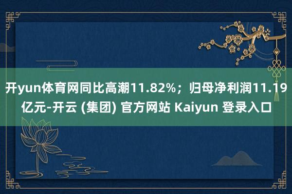 开yun体育网同比高潮11.82%；归母净利润11.19亿元-开云 (集团) 官方网站 Kaiyun 登录入口